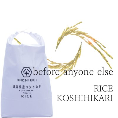 画像3: 新潟県産はちみつ農法コシヒカリ(10kg)　無洗米仕様