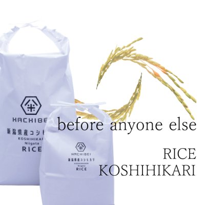 画像3: 【定期購入便】新潟県産はちみつ農法コシヒカリ(10kg)　無洗米仕様