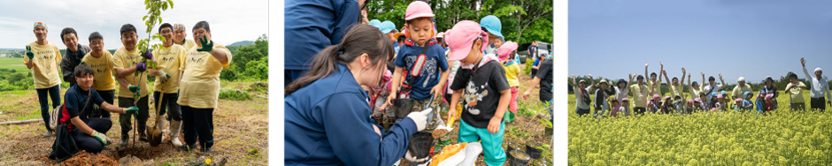 HACHIBEI はちみつ