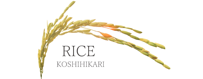 HACHIBEI｜はちべの国産純粋はちみつと八米の新潟県産コシヒカリは、お歳暮やお中元、新潟のお土産にもぴったりの、おしゃれで人気のギフトです。