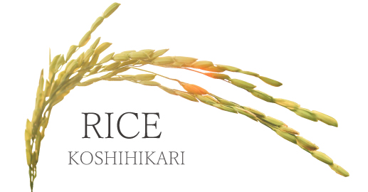 HACHIBEI｜はちべの国産純粋はちみつと八米の新潟県産コシヒカリは、お歳暮やお中元、新潟のお土産にもぴったりの、おしゃれで人気のギフトです。