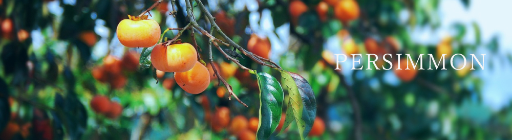 はちべい蜂蜜｜八米の国産純粋はちみつは、お歳暮やお中元、ギフトにも新潟の手土産としておしゃれで人気のハチミツです。