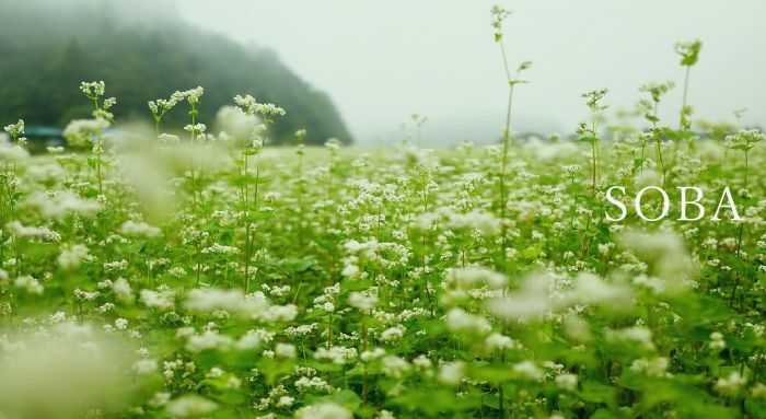 HACHIBEIの国産純粋はちみつ