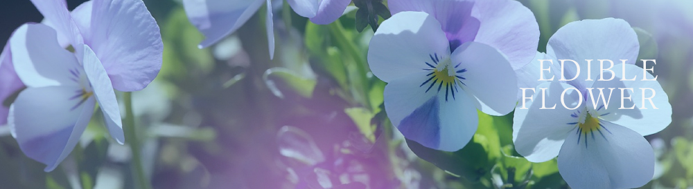 はちべい蜂蜜｜八米の国産純粋はちみつは、お歳暮やお中元、ギフトにも新潟の手土産としておしゃれで人気のハチミツです。