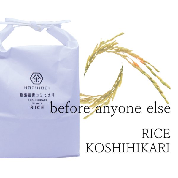 画像3: 新潟県産はちみつ農法コシヒカリ(5kg)　無洗米仕様 (3)